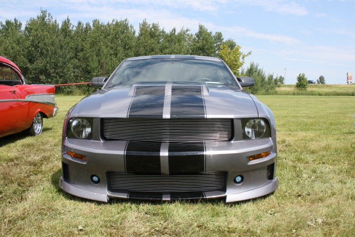 2006 Ford Mustang Grill